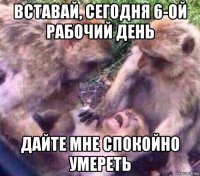 вставай, сегодня 6-ой рабочий день дайте мне спокойно умереть