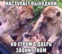 наступает выходной но утром в дверь звонит гном