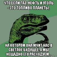 что если газ, нефть и уголь - это топливо планеты, на котором она мчит нас в светлое будущее, а мы нещадно его расходуем...