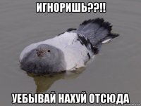 игноришь??!! уебывай нахуй отсюда