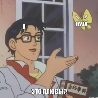 Я Java Это плюсы?