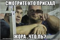 смотрите кто приехал жора , что ль?