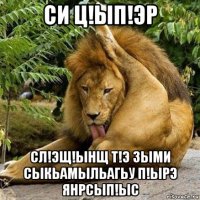 си ц!ып!эр сл!эщ!ынщ т!э зыми сыкьамыльагьу п!ырэ янрсып!ыс