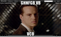 ghnfgb vb vcb