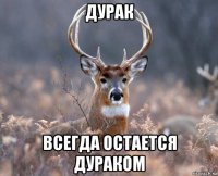 дурак всегда остается дураком