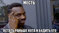 месть: встать раньше кота и будить его