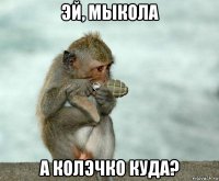 эй, мыкола а колэчко куда?