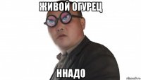 живой огурец ннадо