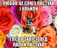 любов це союз пастуха і кобили і всьо завісіт від палки пастуха