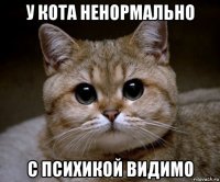 у кота ненормально с психикой видимо