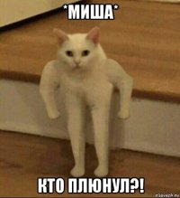 *миша* кто плюнул?!