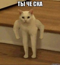 ты че ска 