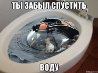 ты забыл спустить воду