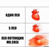 Один Лео 5 лео Лео потпищик mr.crex