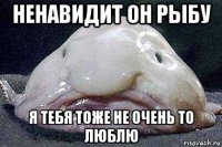 ненавидит он рыбу я тебя тоже не очень то люблю