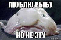люблю рыбу но не эту