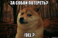 за собой потереть? /del ?