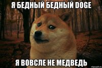 я бедный бедный doge я вовсле не медведь