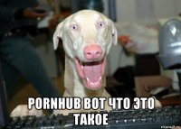  pornhub вот что это такое