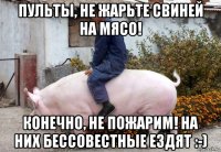 пульты, не жарьте свиней на мясо! конечно, не пожарим! на них бессовестные ездят :-)