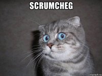 scrumcheg 