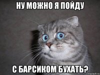 ну можно я пойду с барсиком бухать?