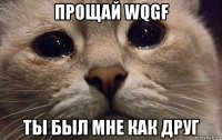 прощай wqgf ты был мне как друг