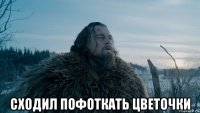  сходил пофоткать цветочки