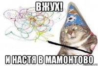 вжух! и настя в мамонтово