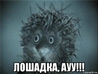  лошадка, ауу!!!
