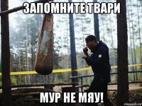 запомните твари мур не мяу!