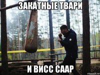 закатные твари и висс саар