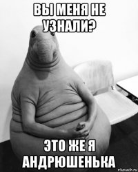 вы меня не узнали? это же я андрюшенька