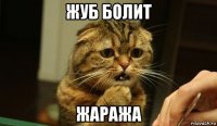 жуб болит жаража