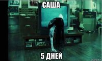 саша 5 дней