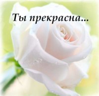Создать мем Цветок