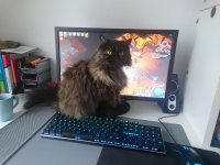 Котэ