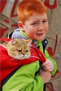Создать мем Рыжий мальчик с кошкой