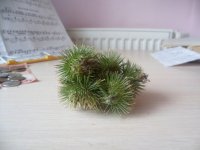 Смешанные колючки лопуха