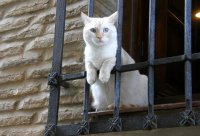 Статистика