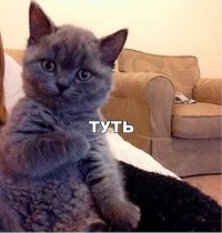 Туть