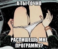 а ты точно распишешь мне программу?