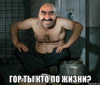  гор ты кто по жизни?