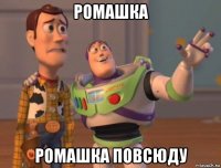 ромашка ромашка повсюду