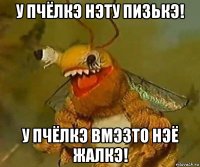у пчёлкэ нэту пизькэ! у пчёлкэ вмэзто нэё жалкэ!