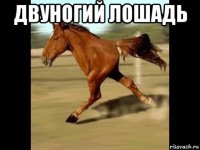 двуногий лошадь 