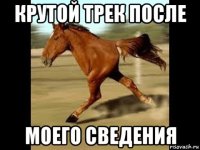 крутой трек после моего сведения