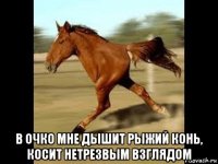  в очко мне дышит рыжий конь, косит нетрезвым взглядом