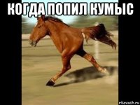 когда попил кумыс 