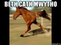 beth cath mwytho 